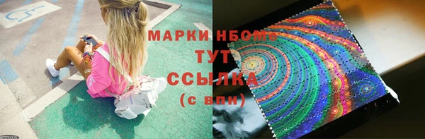 соль ск Козловка