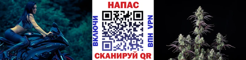 Шишки марихуана индика  Купить где  Богородицк 